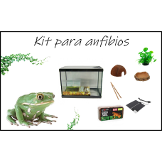 Kit básico para anfibios 